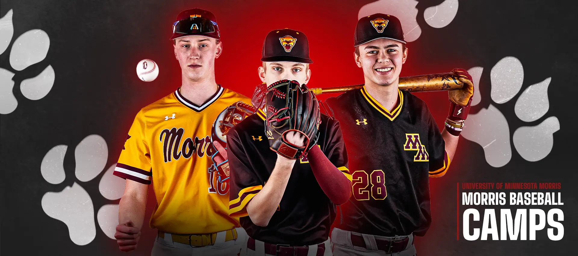 Morris Baseball Camps at University of Minnesota